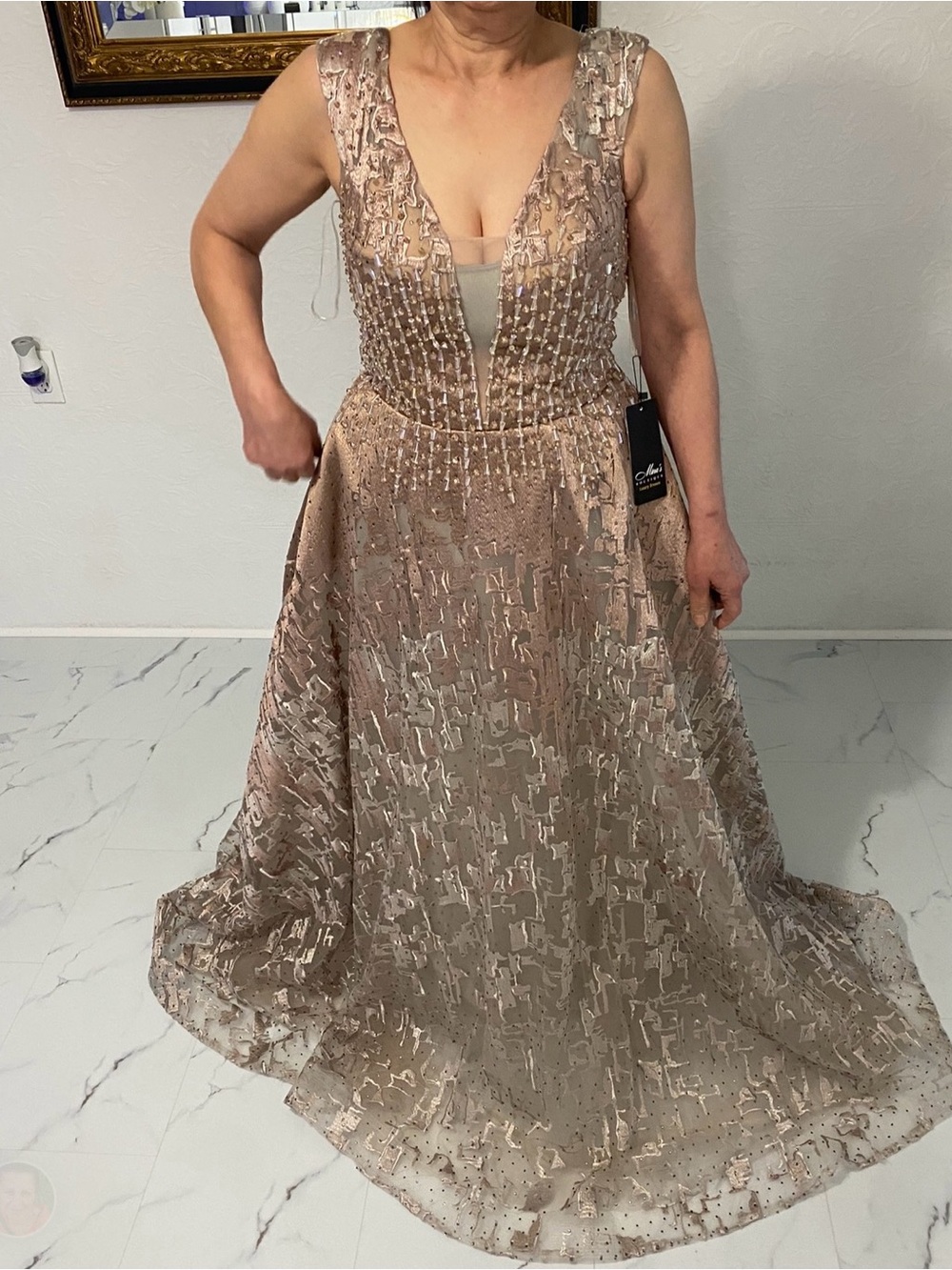 Elegant V-Neck Embellished Evening Gown in Blush